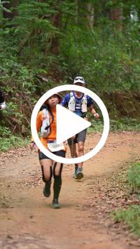 BIB:  <button type="button" onclick="openModal(26817106)" class="btn btn-primary btn-sm float-right" data-toggle="modal" data-target=".modal-high-quality">
                <i class="fa fa-download"></i> Download
                </button>